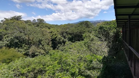 Garden, View (from property/room)