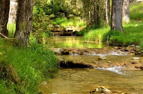 Hiking, Cycling