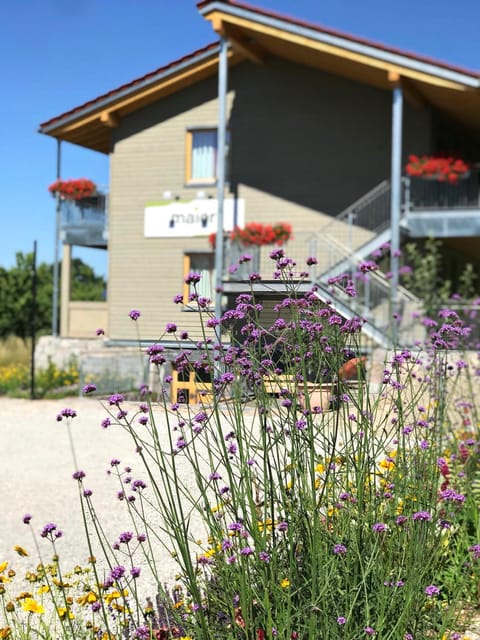 Facade/entrance, Garden view