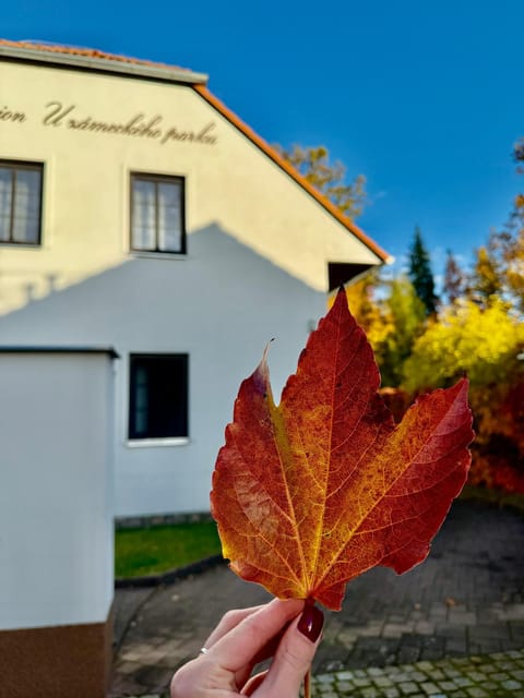 Penzion U zámeckého parku Übernachtung mit Frühstück in South Bohemian Region