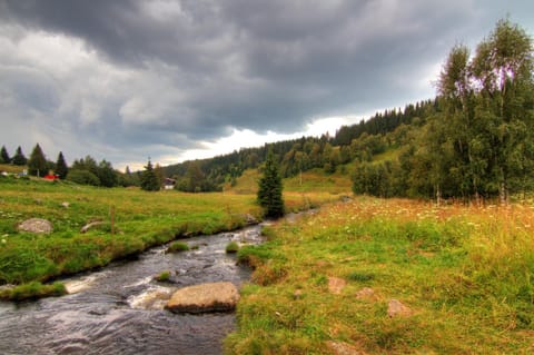 Wellness Chata Kastanek Apartment in South Bohemian Region