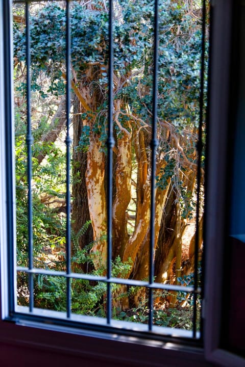 Bedroom, Garden view