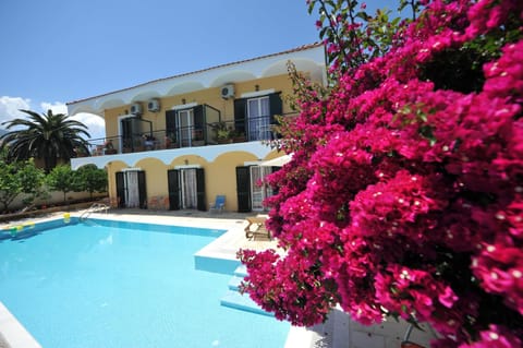 Pool view, Swimming pool