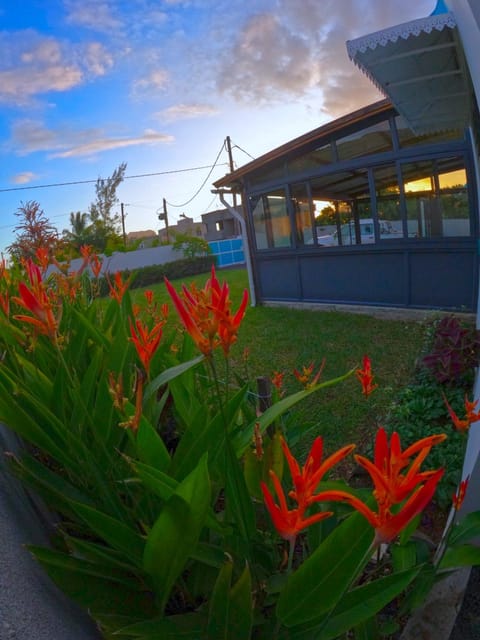 Patio, Garden, Garden view, Sunset