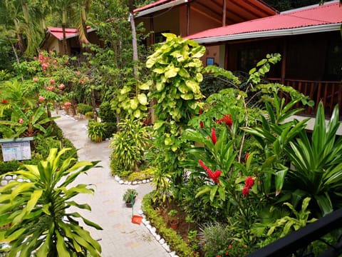 Hotel Belvedere Playa Samara Costa Rica Hotel in Guanacaste Province