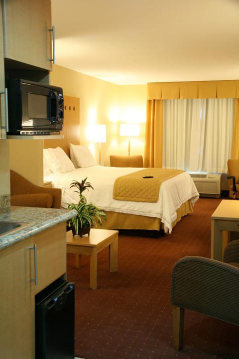 Holiday Inn Express Saltillo Zona Aeropuerto, an IHG Hotel Hotel in Saltillo