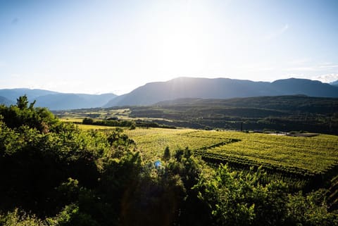 Spring, Day, Mountain view