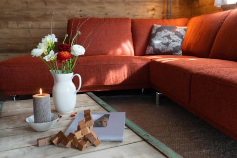 Communal lounge/ TV room, Living room