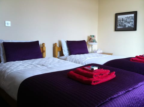 The Horseshoe Bed and Breakfast in Bristol