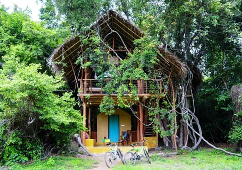 Back of Beyond - Wild Haven Nature lodge in Dambulla