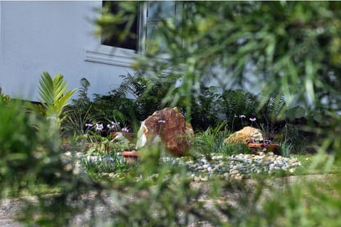 Day, Garden, Garden view