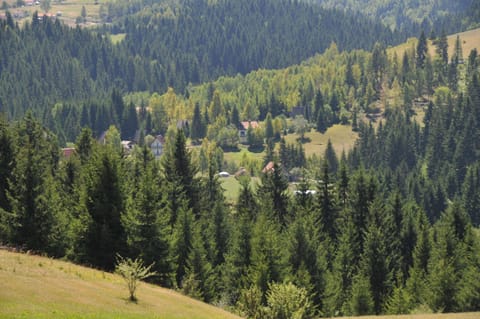 Vila Jelena Zlatar Nova varoš Hotel in Zlatibor District, Serbia