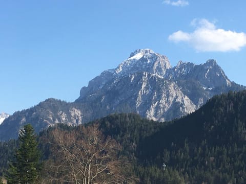 Natural landscape, Hiking, Mountain view