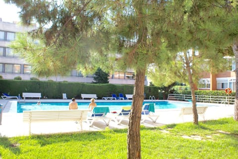 Garden, Garden view, Swimming pool