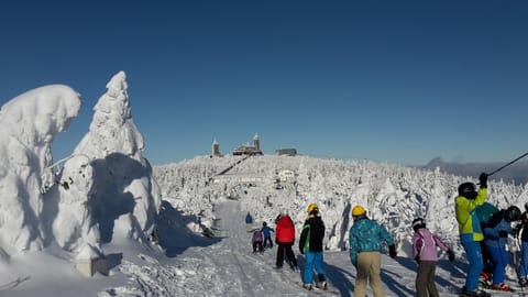 Natural landscape, Ski School, Skiing, Hiking