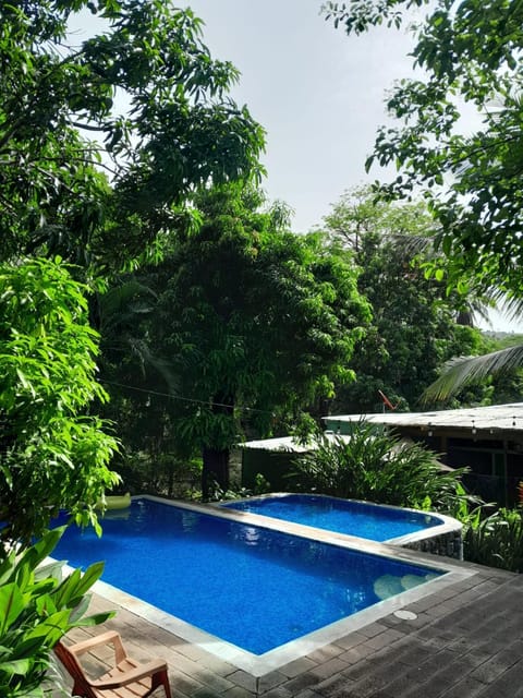 Garden, Pool view, Swimming pool