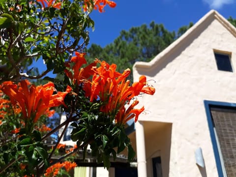 Property building, Facade/entrance, Garden