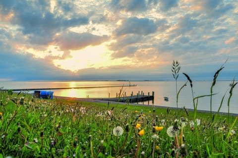 Off site, Natural landscape, Summer, Sunset
