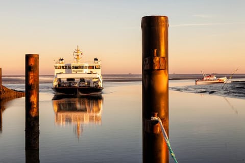 Spring, Off site, Natural landscape, Area and facilities, Sunrise