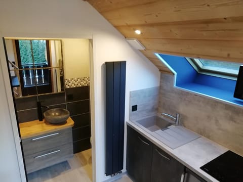 Studio en Duplex Renové Apartment in Haute-Savoie