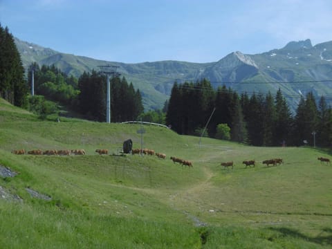 2 pièces à Valmorel - Animaux OK - Près des pistes - FR-1-356-333 Apartment in Les Avanchers-Valmorel