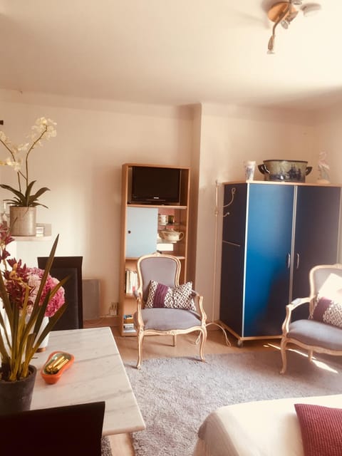 Studio des Rosaires Apartment in Plérin