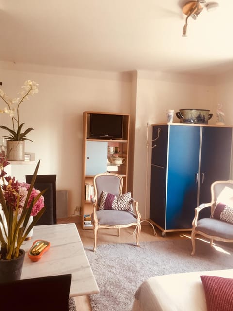 Studio des Rosaires Appartement in Plérin