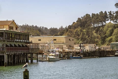 Driftwood House in Fort Bragg