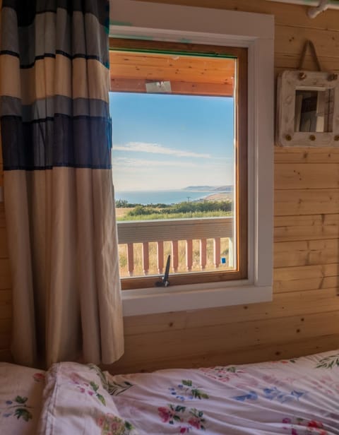 Enlli Fach cabin sleep's 2 adults and 2 children 2 dogs welcome not suitable for contract workers due to parking height restrictions Cabin in Wales