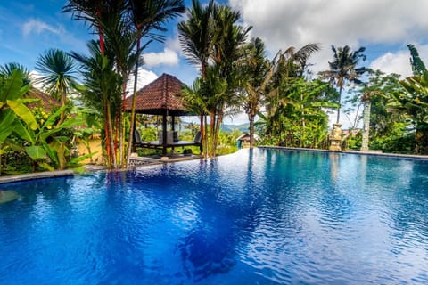 Day, Natural landscape, Garden, View (from property/room), Garden view, Pool view, Swimming pool, sunbed