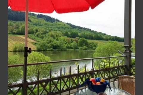 Ferienhaus Moselmerle Apartment in Cochem-Zell
