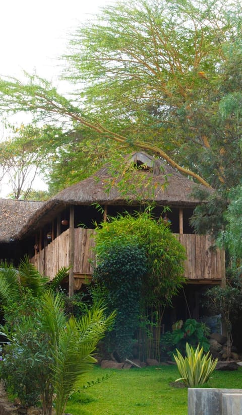 Merinja Guest House Bed and Breakfast in Kenya