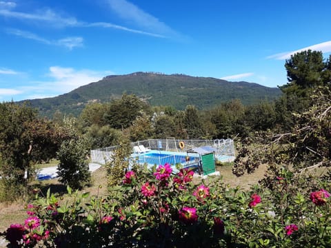 Natural landscape, Pool view, Swimming pool