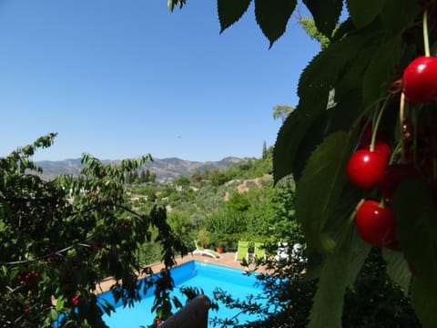 Spring, On site, Mountain view, Swimming pool