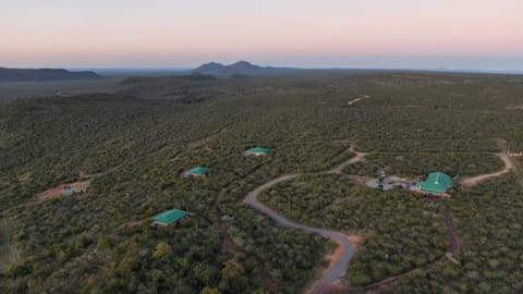 Rockfig Lodge Madikwe Natur-Lodge in South Africa