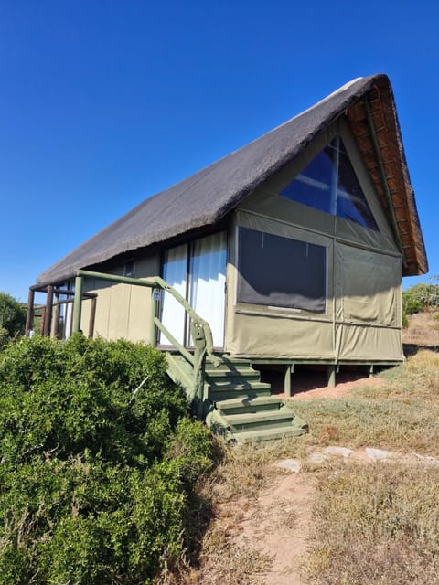 Harmony Luxury Tents & Safari Lodge nature in Port Elizabeth