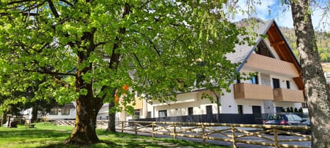 Property building, Day, Garden, Garden