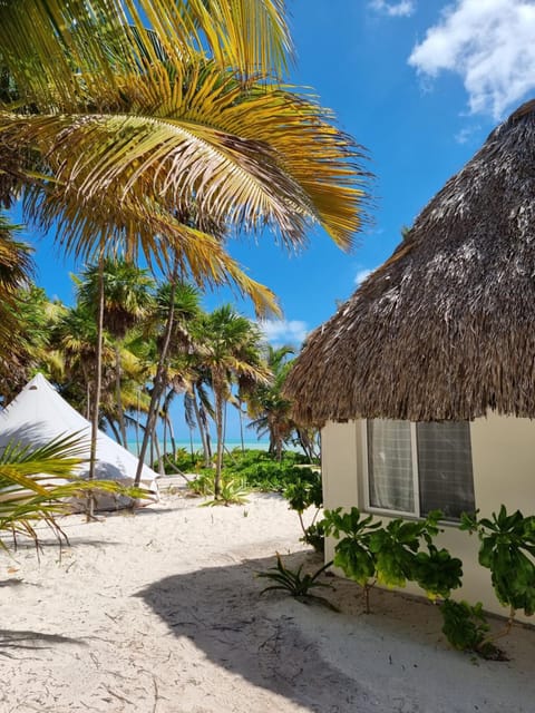 Beach, Sea view