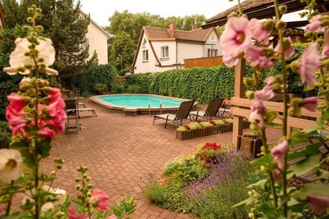 Garden, Pool view, Swimming pool