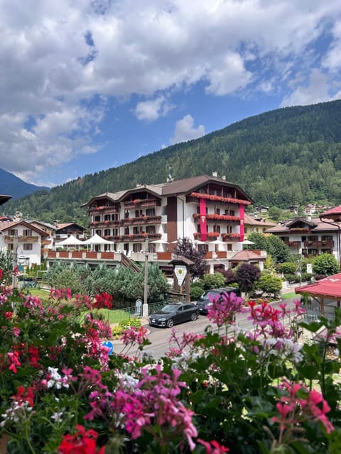 Property building, Natural landscape, Summer, Mountain view