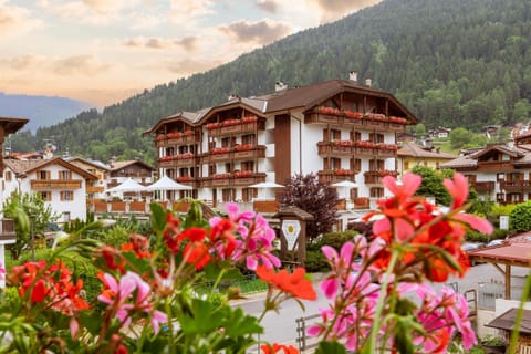 Property building, Natural landscape, Mountain view