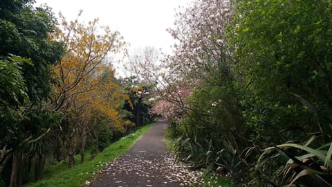 Neighbourhood, Natural landscape