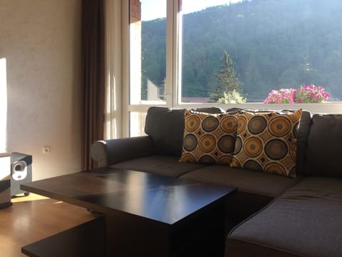 Miro Apartament Condo in Sinaia