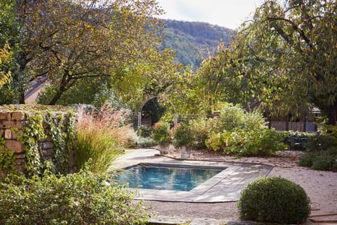 Garden, Swimming pool