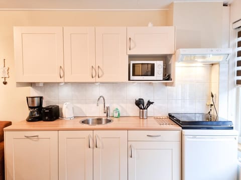 Kitchen or kitchenette, dishwasher, stove, toaster