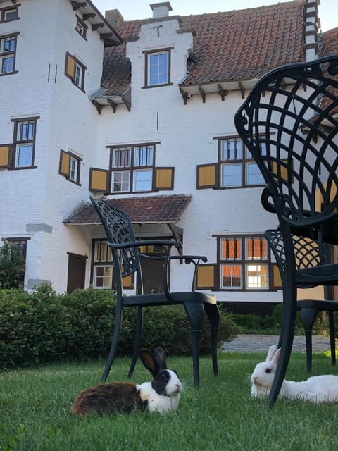 Property building, Natural landscape, Garden, Garden view