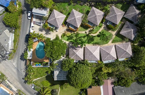 Bird's eye view, Garden, Garden view, Pool view