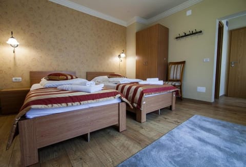 Pension Andronic Bed and Breakfast in Timisoara