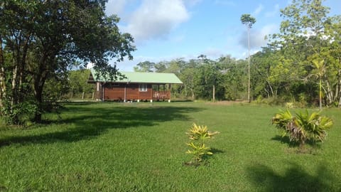 Neighbourhood, Other, On site, Garden view