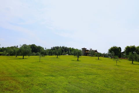 Garden, Garden, Garden view, Garden view